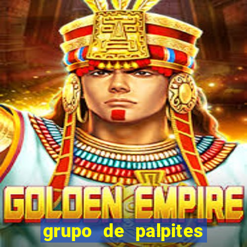 grupo de palpites de futebol telegram